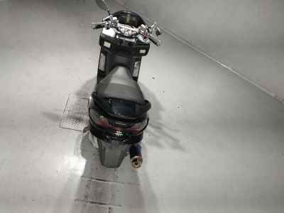 Suzuki Skywave 250SS