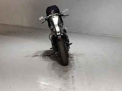 Harley-Davidson XL883N 2017