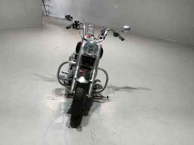 Harley-Davidson FLSTF1450 2006
