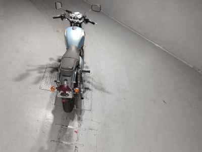 Kawasaki Estrella 2008