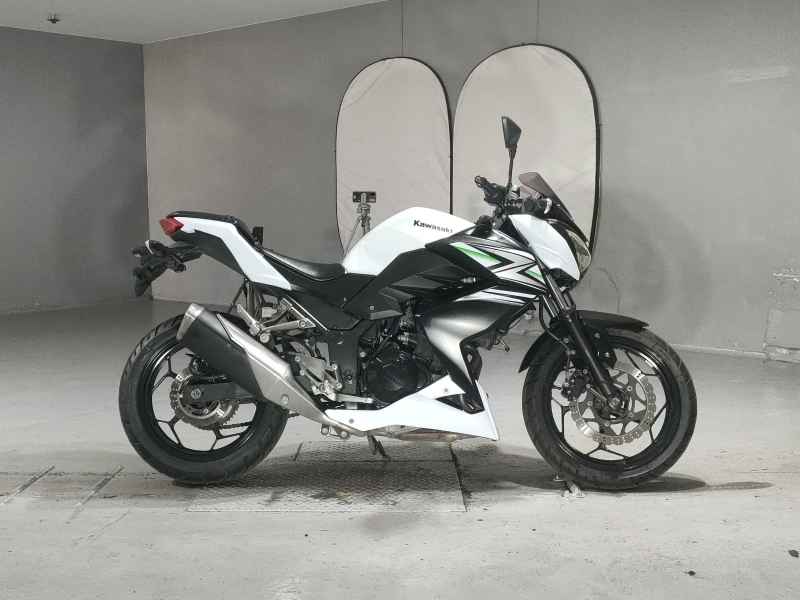 Kawasaki Z250 2014