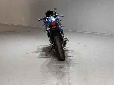 Suzuki GSX250R