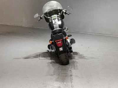 Harley-Davidson FLSTF1580 2010