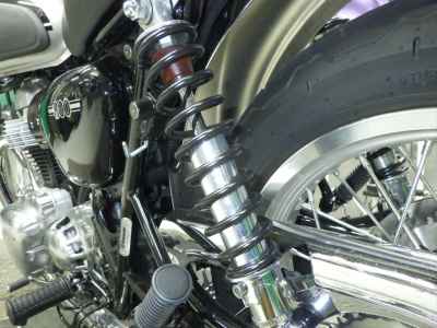 Kawasaki W800 2025