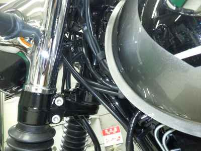 Kawasaki W800 2025