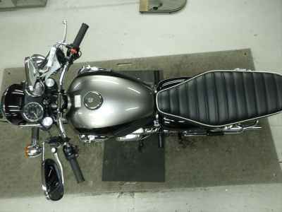 Kawasaki W800 2025
