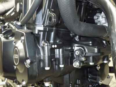 Kawasaki Z900RS Cafe 2026