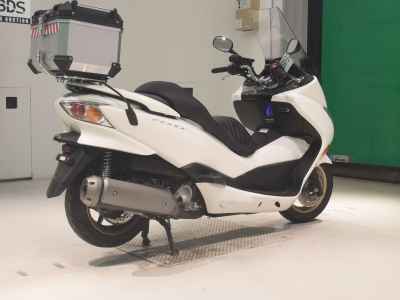 Honda Forza Z 2010