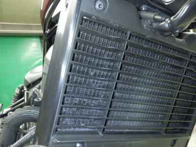 Honda Rebel CMX1100 DCT 2021