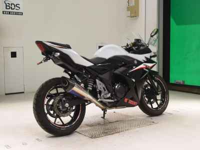 Suzuki GSX250R