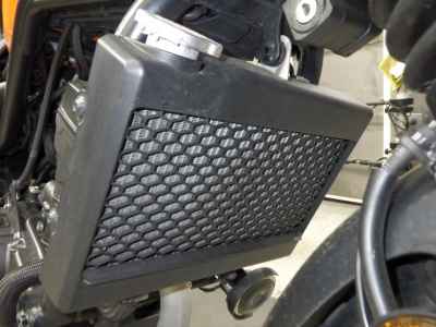 Honda CL250 2023