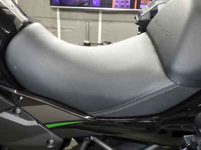 Kawasaki Versys-X 250 2025