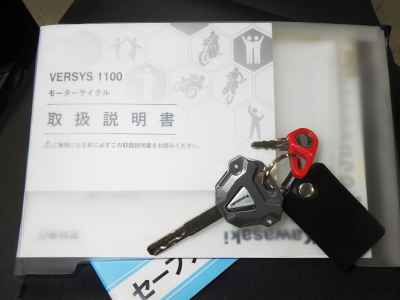 Kawasaki Versys-X 250 2025
