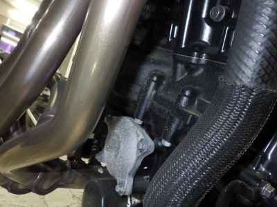 Kawasaki Z900 2023