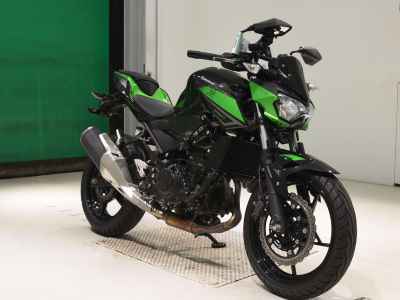 Kawasaki Z250 2023