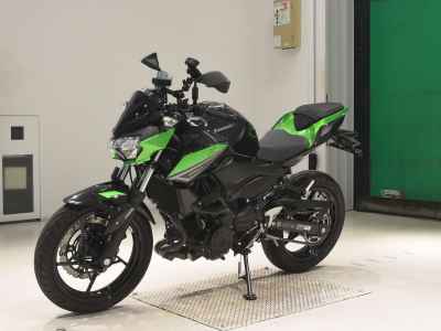 Kawasaki Z250 2023