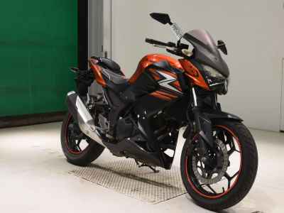Kawasaki Z250 2014