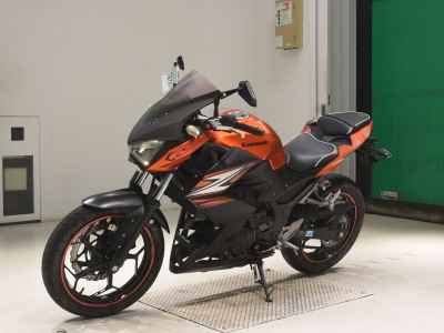 Kawasaki Z250 2014