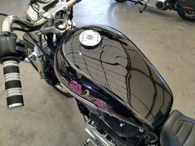 Harley-Davidson Sportster XL1200L 2007