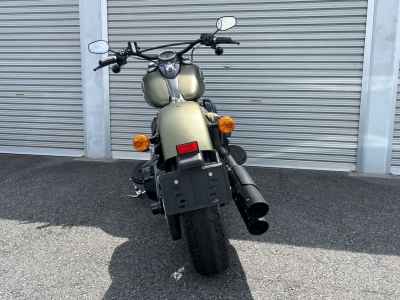 Harley-Davidson Slim S FLSS1800 2017