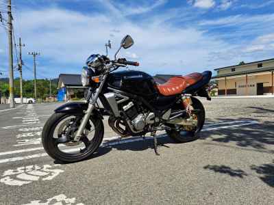 Suzuki GSX250FX