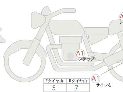 Kawasaki Z900RS Cafe 2024