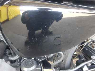 Harley-Davidson Sportster XL1200N 2008