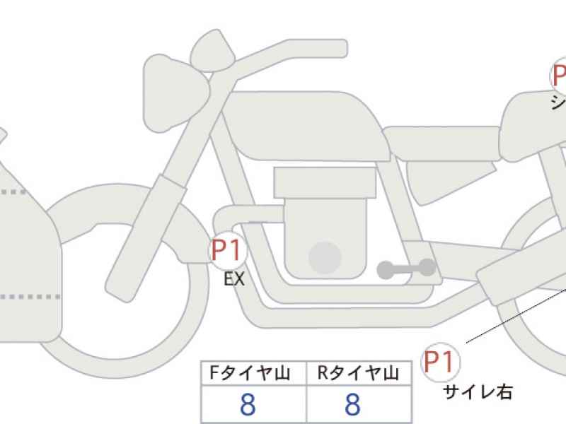 Kawasaki Ninja ZX-4RR 2024