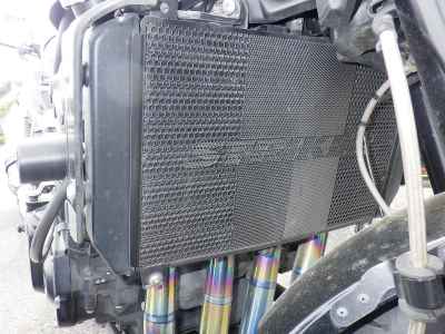 Kawasaki Z900RS Cafe 2022