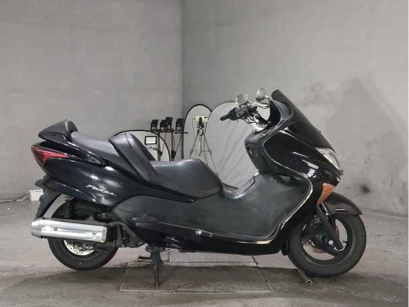 Honda Forza Z