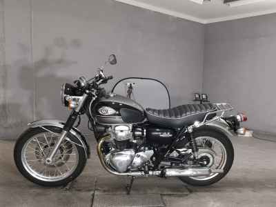 Kawasaki W800 2024