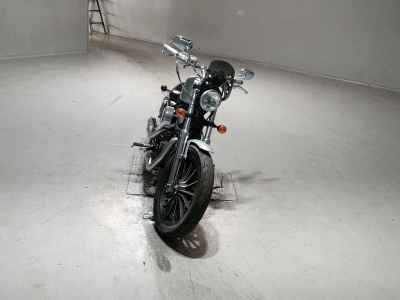 Harley-Davidson XL883N 2015