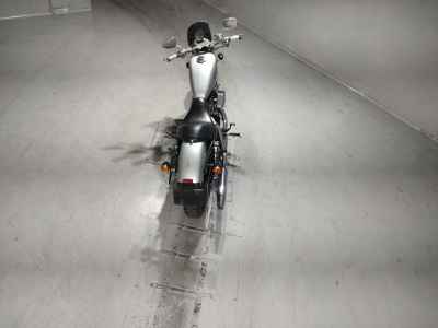 Harley-Davidson XL883N 2015