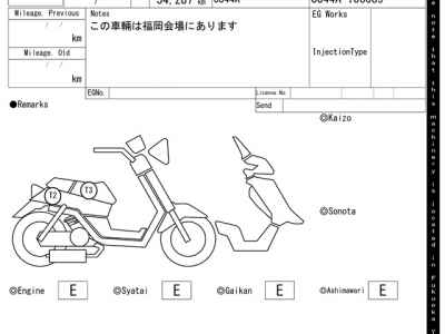 Suzuki Skywave 250S