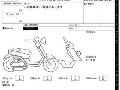 Piaggio MP3 250