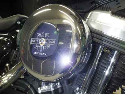Harley-Davidson Sportster Forty-Eight XL1200X 2022