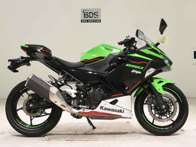 Kawasaki Ninja 250 2021