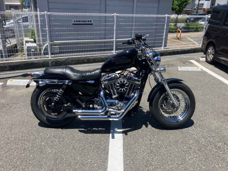Harley-Davidson Sportster Custom XL1200C 2011