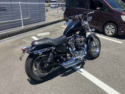 Harley-Davidson Sportster Custom XL1200C 2011