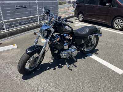 Harley-Davidson Sportster Custom XL1200C 2011