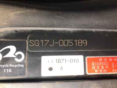 Yamaha Maxam 250 2005