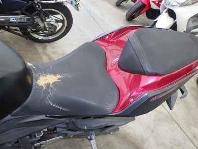 Kawasaki Z250 2019