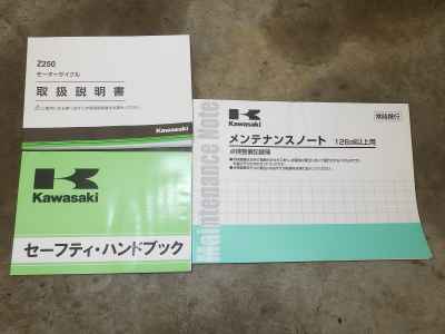 Kawasaki Z250 2019