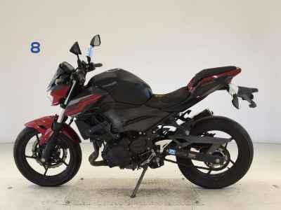 Kawasaki Z250 2019