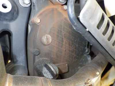 Honda PS250 Big Ruckus 2006