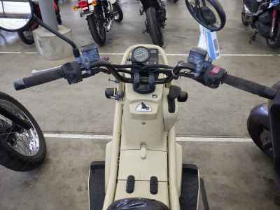 Honda PS250 Big Ruckus 2006