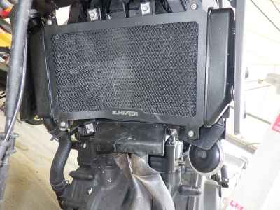 Kawasaki Eliminator 250V 2025