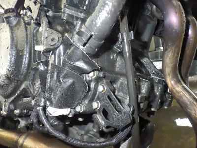 Kawasaki Z250 2022
