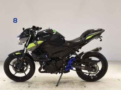 Kawasaki Z250 2022
