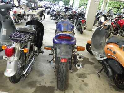 Yamaha Zeal FZX250
